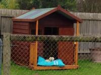 STIRLING LODGE BOARDING KENNELS image 3